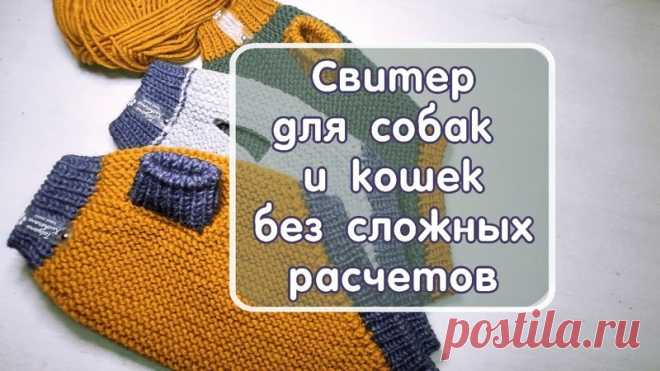 Модные Чихуашечки (вязание для животных, схемы)
