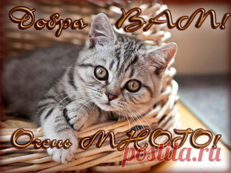 Музыкальная Открытка! ДОБРА ВАМ! Ты твори по жизни лишь одно добро...