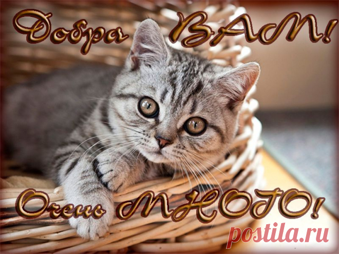 Музыкальная Открытка! ДОБРА ВАМ! Ты твори по жизни лишь одно добро...