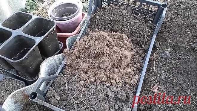 ДОБАВЬТЕ ЭТО В ГРУНТ И НАСЕКОМЫХ НЕ БУДЕТ!
