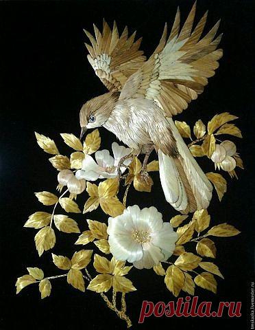 (70) Одноклассники