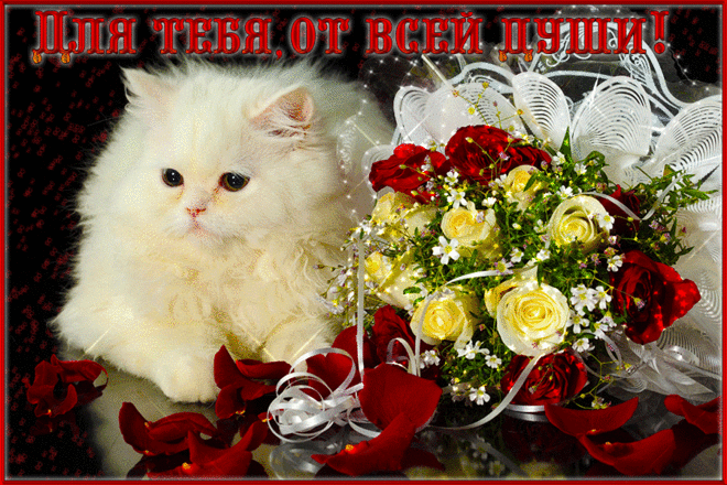 Музыкальная открытка "Для тебя от всей души" | В гостях у тамады!