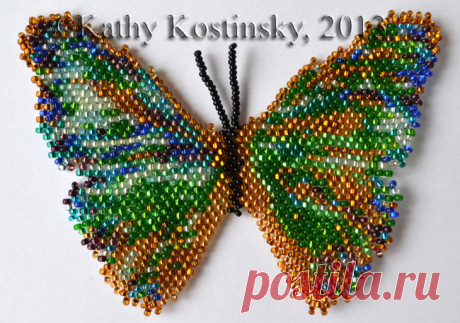 Морфо Аврора. Коллекция 63 бабочки мира