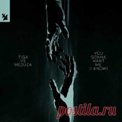 Tiga & Meduza - You Gonna Want Me (I Know) [Armada Music] free download mp3 music 320kbps