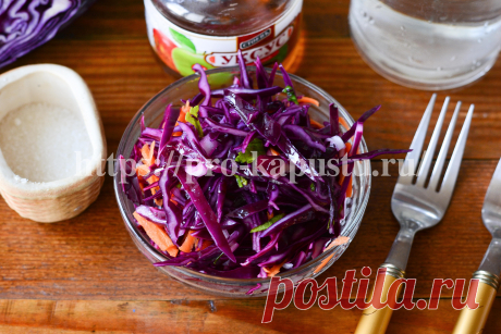 Маринованная краснокочанная капуста своими руками