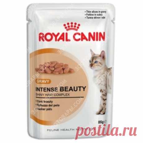 Royal Canin Intense Beauty (кусочки в соусе) корм для кошек старше 1 года для по купить в Киеве и Украине по низким ценам | Интернет-зоомагазин Зоотовары.coм