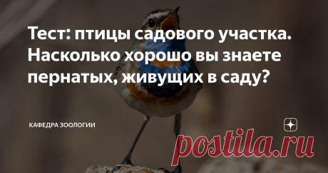 Тест: птицы садового участка. Насколько хорошо вы знаете пернатых, живущих в саду? Этот тест я составил по видам, о которых рассказывал в статьях "Птицы сада. Часть 1 и 2". Вы можете ознакомиться с ними перед тестом, а можете сразу проверить себя. В тест вошли 15 видов птиц. Я не стал включать трудноотличимых славок, пеночек и т.д., а выбрал наиболее характерных пернатых. Поэтому, конечно, в список вошли далеко не все.  Ответы будут в закрепленном комментарии. Поехали!  На...