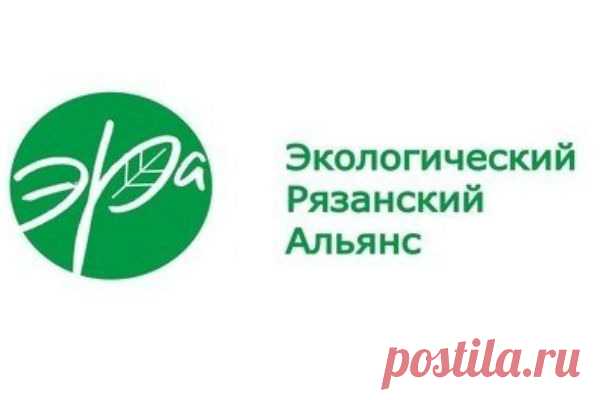 Планета Земля и Человек: Гринпис поздравил Рязанский экологический альянс с пятилетием