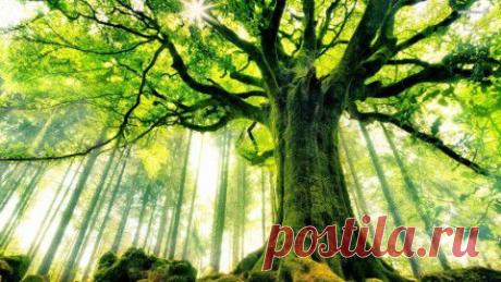 Нераскрытые тайны и загадки (10 фото)