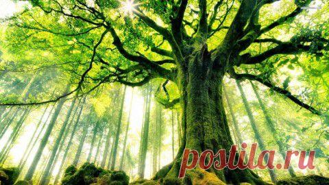 Нераскрытые тайны и загадки (10 фото)