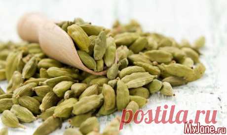 Волшебная пряность - кардамон, пряности, народная медицина, эфирные масла