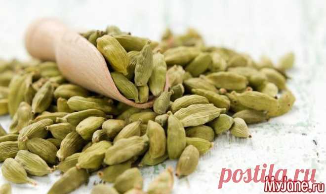 Волшебная пряность - кардамон, пряности, народная медицина, эфирные масла