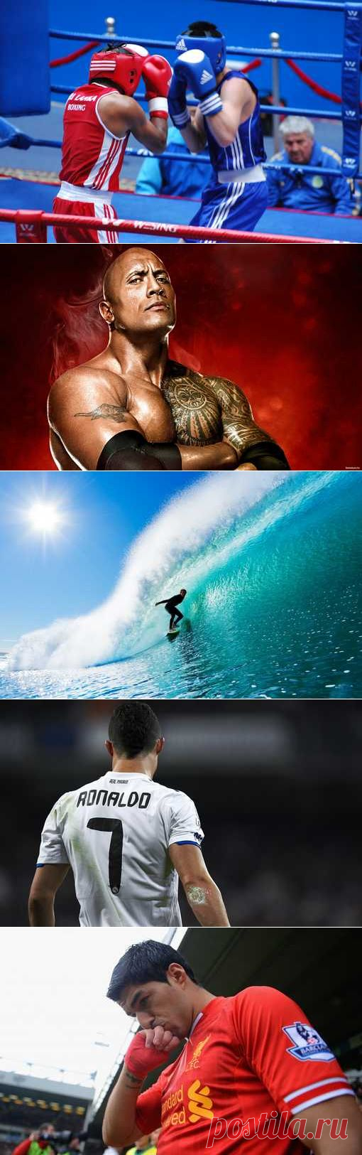 Шахматы, Ойна, Боулинг, Водно-моторный спорт. (1/1) - Спортивный форум. - Спортивный сайт