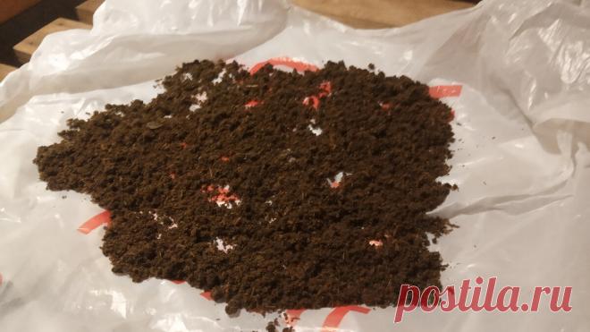 Ферментированный чай из листьев вишни, смородины, земляники | Рукастый мужик | Яндекс Дзен