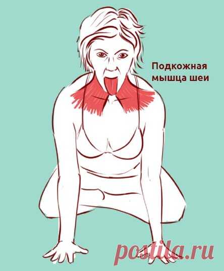 Провисание кожи по типу «индюшиной шеи», второй подбородок, дряблость и боль в шее: всё убрать! Уже в скором времени!