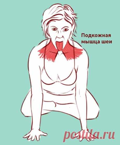 Провисание кожи по типу «индюшиной шеи», второй подбородок, дряблость и боль в шее: всё убрать! Уже в скором времени!