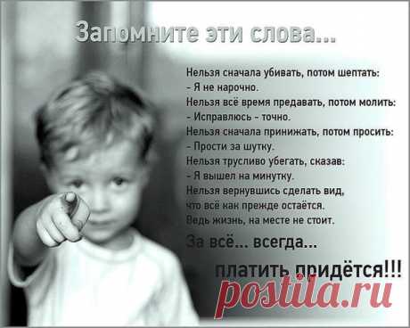 Волки