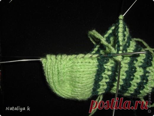 Носки лапы дракона - забавный подарок к году Новому Году : daritel — ЖЖ