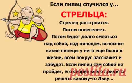 Весёлый гороскоп: как встречают трудности знаки Зодиака — Копилочка полезных советов