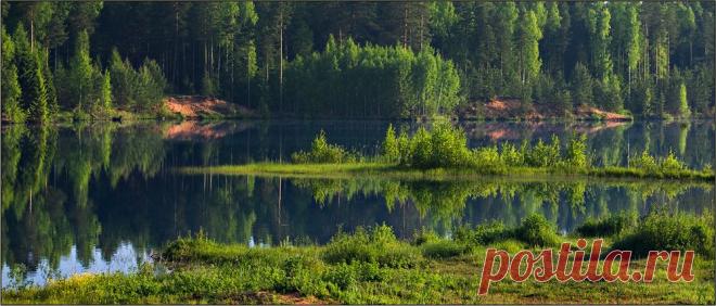 35PHOTO - izh Diletant (Валерий Щербина) - Берендеево царство...