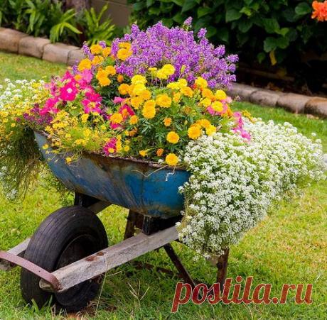 Идеи обустройства контейнерного сада