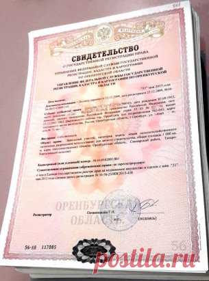 СВИДЕТЕЛЬСТВА О СОБСТВЕННОСТИ ОТМЕНЯЮТСЯ
Мало кто обратил внимание на эту новость. 
А зря:
С 15 июля в России вступят в силу поправки, отменяющие выдачу свидетельств о государственной регистрации прав на недвижимое имущество, сообщает РИА 