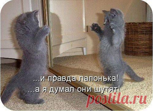 Я пыталась заработать в интернете со многими компаниями, но мои попытки не увенчались успехом. Теперь я нашла то, что искала!  Работа на компьютере 2-3 часа в день, свободный график, бесплатное обучение, возможность карьерного роста, достойная оплата. Я сама себе начальник!  Кому интересно, пишите в личку.