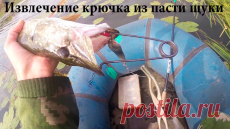 Извлечение крючка из пасти щуки Снятие щуки с крючка может явиться излишним стрессом как для рыбака, так и для рыбы.











 





Кевин Смит советует, как правильно действовать головой... и пальцами!













 





Начинаю…