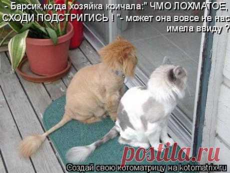 Джон Керри – Павлу Климкину ! письмо)))