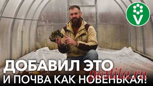 Как улучшить истощенную почву в теплице? Сделайте это до высадки томатов, перцев и огурцов | Procvetok | Дзен