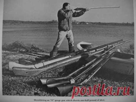 Гигантские ружья - ружья гигантов? В истории оружия есть удивительные экземпляры — огромные ружья, один из вариантов их названия это «утятницы» или «гусятницы». Еще такие ружья называют крепостные ружья. Когда я услышал, что одно и тож...