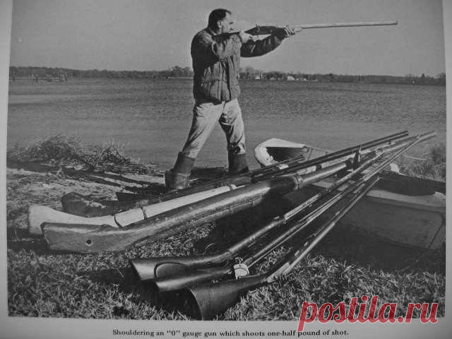 Гигантские ружья - ружья гигантов? В истории оружия есть удивительные экземпляры — огромные ружья, один из вариантов их названия это «утятницы» или «гусятницы». Еще такие ружья называют крепостные ружья. Когда я услышал, что одно и тож...