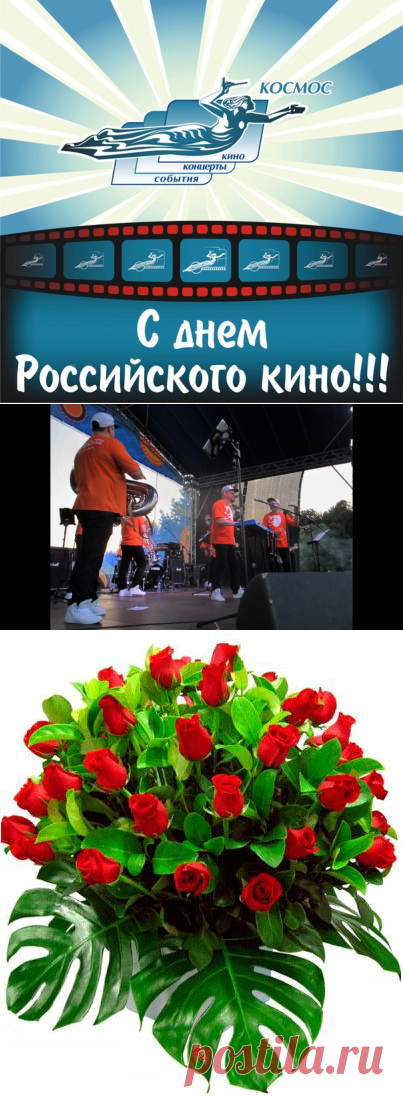 Светлана Болотова