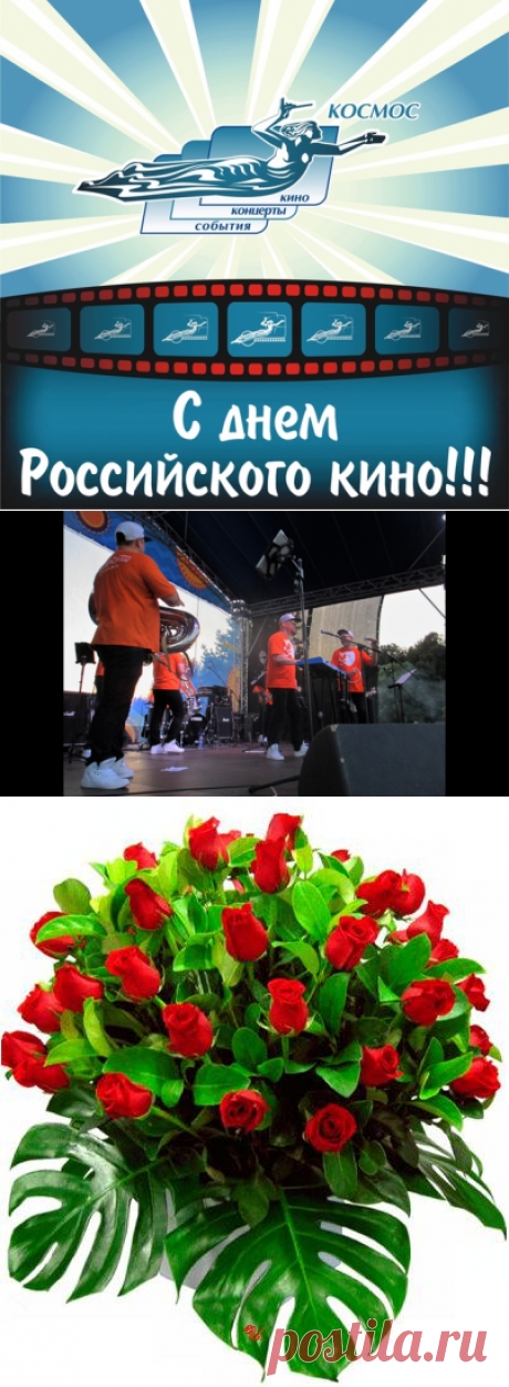 Светлана Болотова