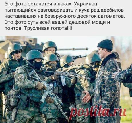 (337) Твиттер