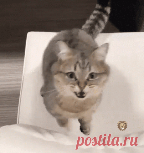 (1) Мой Мир@Mail.Ru