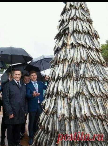 Так вот где все золотые рыбки!()))