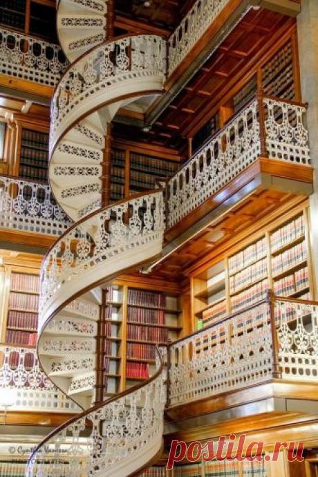 (12) Steampunk Tendencies - Фото