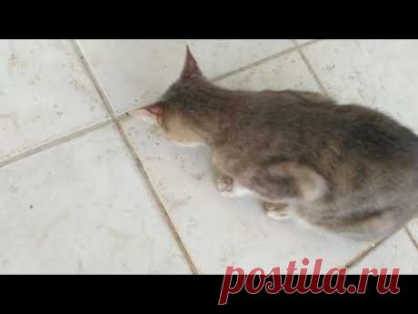 МоЯ отдушина в отпуске)