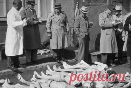 СИЛЬНЫЕ СЛОВА ДЛЯ ПОНИМАНИЯ, ЧТО ТАКОЕ ОБРАЗОВАНИЕ:
Один директор школы посылал это письмо каждому учителю, которого брал на работу...
