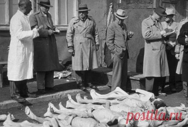 СИЛЬНЫЕ СЛОВА ДЛЯ ПОНИМАНИЯ, ЧТО ТАКОЕ ОБРАЗОВАНИЕ:
Один директор школы посылал это письмо каждому учителю, которого брал на работу...
