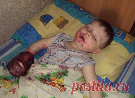 Интересное и Удивительное. Добавлена фотография в альбом Детки и животные