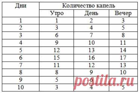 Чесночная настойка для чистки сосудов :: FupiDay.com