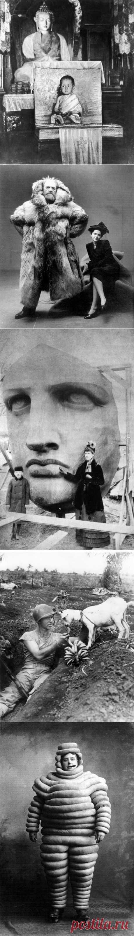 ФотоТелеграф » Пост действительно редких снимков
