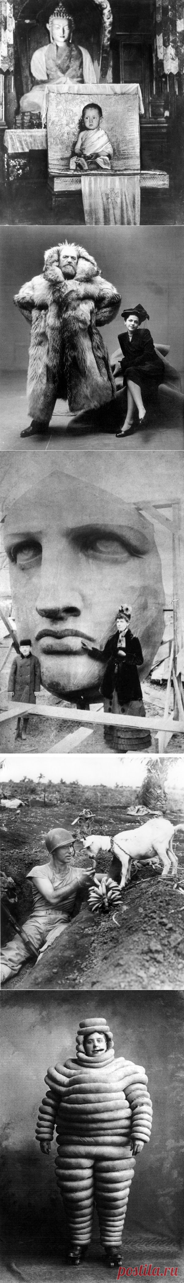 ФотоТелеграф » Пост действительно редких снимков