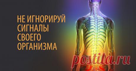 Организм и его сигналы