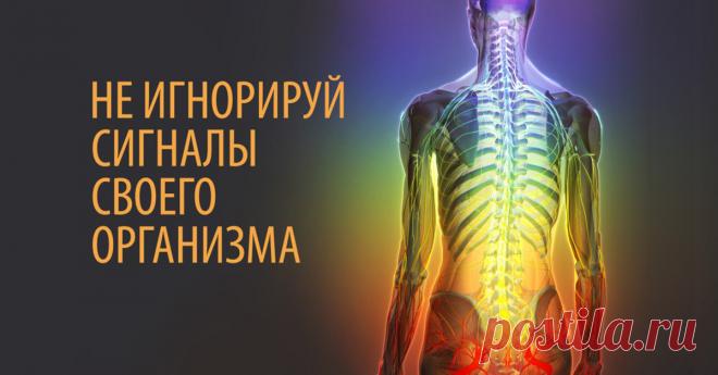 Организм и его сигналы