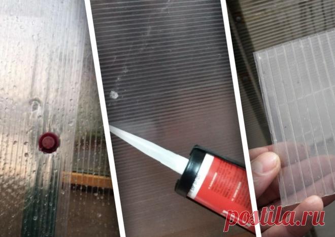 Как убрать дыру или трещину в теплице из поликарбоната? – 5 рабочих способов на заметку садоводу... Покажем варианты ремонта теплицы из поликарбоната и расскажем про особенности применения каждого способа.