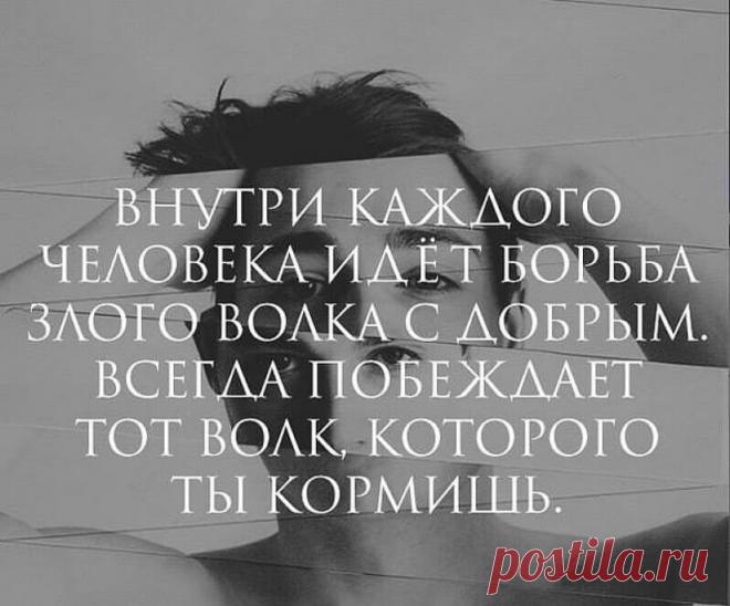 Очень красивые и мудрые цитаты