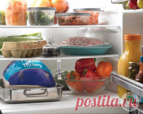 Как экономить на продуктах? Как правильно хранить продукты. | Клуб Экономных Леди